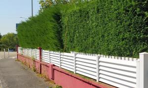 Taille de Haie sur Bouguenais