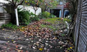 Ratissage des feuilles et tonte de pelouse entretien de jardin à Nantes
