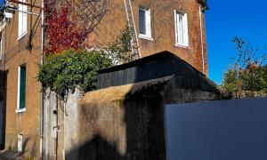  Enlèvement du lierre sur pignon et taille d’arbustes à Nantes