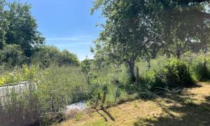 Débroussaillage tonte de pelouse sur Bouguenais