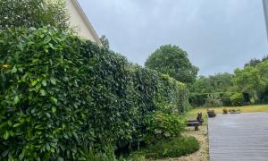 Taille de haie d’arbustes Sur Bouguenais 