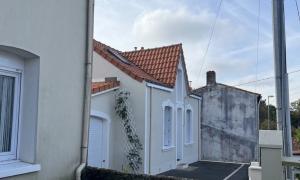 Abattage d’un cyprès 
