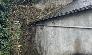 Elagueur Basse-Indre