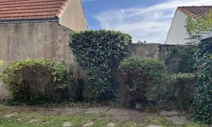 Élagueur Nantes 44
