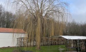 Elagueur Saint-Jean-de-Boiseau