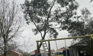 Elagueur Saint-Colomban