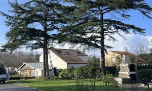 Elagueur Saint-Colomban