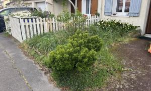 Débroussaillage, désherbage sur Nantes 
