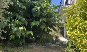 Entretient du jardin Nantes 