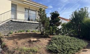 Abattage de deux cyprès à La Montagne 44